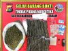 4 Pelaku Ditangkap, Polisi Amankan 5 Kg Ganja dan 13,74 Gram Sabu