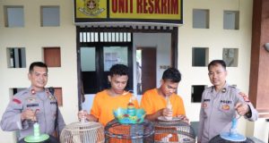 Pencuri Burung Ini Ancam Korbannya