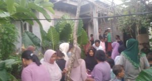 Seni Tewas Tersambar Petir Saat Panen Padi