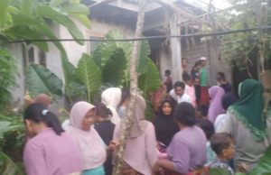 Seni Tewas Tersambar Petir Saat Panen Padi