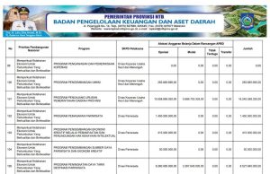 Sikronisasi Program Prioritas Nasional Dengan Program Prioritas Provinsi Tahun Anggaran 2024