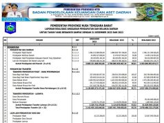 Laporan Realisasi Anggaran Pendapatan Dan Belanja Daerah Untuk Tahun Yang Berakhir Sampai Dengan 31 Desember 2023 Dan 2022