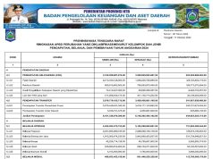 RINGKASAN APBD PERUBAHAN YANG DIKLASIFIKASI MENURUT KELOMPOK DAN JENIS PENDAPATAN, BELANJA, DAN PEMBIAYAAN TAHUN ANGGARAN 2024