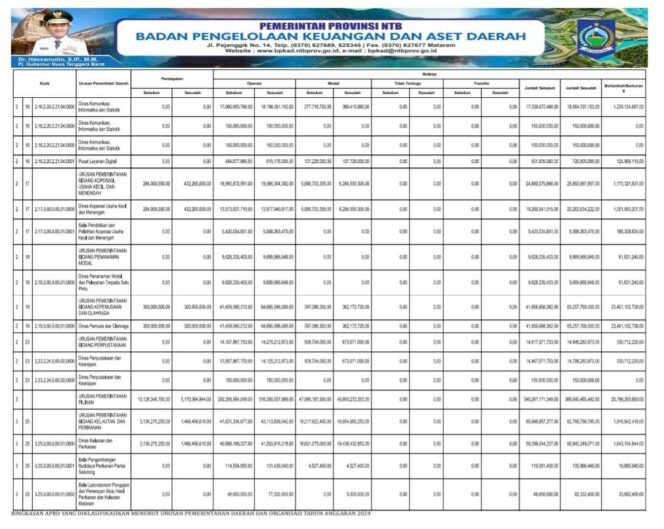 
					RINGKASAN APBD YANG DIKLASIFIKASIKAN MENURUT URUSAN PEMERINTAHAN DAERAH DAN ORGANISASI TAHUN ANGGARAN 2024