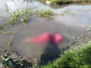 Lansia 75 Tahun Ditemukan Meninggal di Kolam Kangkung Ampenan