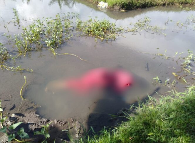 
					Lansia 75 Tahun Ditemukan Meninggal di Kolam Kangkung Ampenan