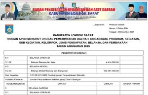 Rincian APBD menurut Urusan Pemerintahan Daerah, Organisasi, Program, Kegiatan, Sub Kegiatan, Kelompok, Jenis Pendapatan, Belanja, dan Pembiayaan Tahun Anggaran 2025