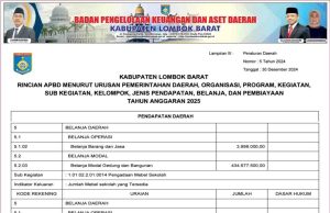Rincian APBD menurut Urusan Pemerintahan Daerah, Organisasi, Program, Kegiatan, Sub Kegiatan, Kelompok, Jenis Pendapatan, Belanja, dan Pembiayaan Tahun Anggaran 2025