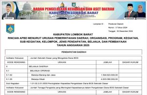 Rincian APBD menurut Urusan Pemerintahan Daerah, Organisasi, Program, Kegiatan, Sub Kegiatan, Kelompok, Jenis Pendapatan, Belanja, dan Pembiayaan Tahun Anggaran 2025