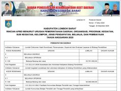 Rincian APBD menurut Urusan Pemerintahan Daerah, Organisasi, Program, Kegiatan, Sub Kegiatan, Kelompok, Jenis Pendapatan, Belanja, dan Pembiayaan Tahun Anggaran 2025