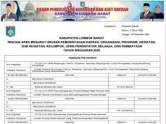 Rincian APBD menurut Urusan Pemerintahan Daerah, Organisasi, Program, Kegiatan, Sub Kegiatan, Kelompok, Jenis Pendapatan, Belanja, dan Pembiayaan Tahun Anggaran 2025