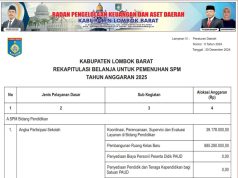 REKAPITULASI BELANJA UNTUK PEMENUHAN SPM TAHUN ANGGARAN 2025