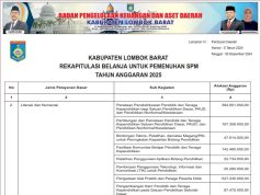REKAPITULASI BELANJA UNTUK PEMENUHAN SPM TAHUN ANGGARAN 2025