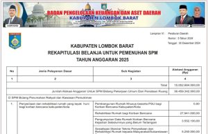 REKAPITULASI BELANJA UNTUK PEMENUHAN SPM TAHUN ANGGARAN 2025