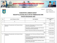 REKAPITULASI BELANJA UNTUK PEMENUHAN SPM TAHUN ANGGARAN 2025
