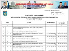 SINKRONISASI PROGRAM PADA RPJMD/RPD DENGAN RANCANGAN APBD TAHUN ANGGARAN 2025