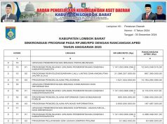 SINKRONISASI PROGRAM PADA RPJMD/RPD DENGAN RANCANGAN APBD TAHUN ANGGARAN 2025