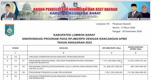 SINKRONISASI PROGRAM PADA RPJMD/RPD DENGAN RANCANGAN APBD TAHUN ANGGARAN 2025