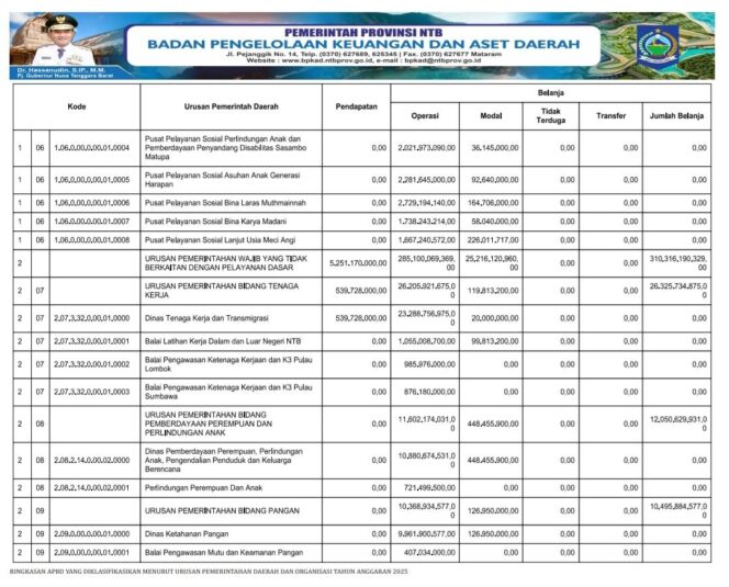 
					RINGKASAN APBD YANG DIKLASIFIKASIKAN MENURUT URUSAN PEMERINTAHAN DAERAH DAN ORGANISASI TAHUN ANGGARAN 2025