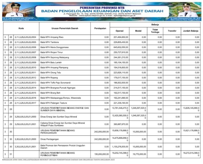 
					RINGKASAN APBD YANG DIKLASIFIKASIKAN MENURUT URUSAN PEMERINTAHAN DAERAH DAN ORGANISASI TAHUN ANGGARAN 2025