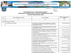 REKAPITULASI BELANJA UNTUK PEMENUHAN SPM TAHUN ANGGARAN 2025