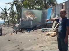 Kerusakan Konservasi Penyu Mapak Capai Rp250 Juta, Yayasan Desak Aksi Nyata Pemerintah