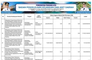 SIKRONISASI PROGRAM PRIORITAS NASIONAL DENGAN PROGRAM PRIORITAS PROVINSI TAHUN ANGGARAN 2025