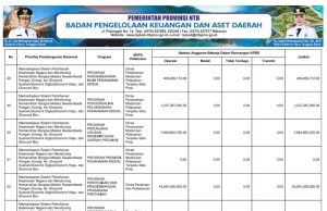 SIKRONISASI PROGRAM PRIORITAS NASIONAL DENGAN PROGRAM PRIORITAS PROVINSI TAHUN ANGGARAN 2025