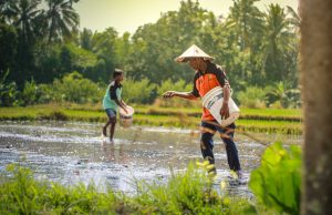 Lapas Lombok Barat Bina Tahanan di Bidang Pertanian