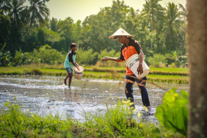 
					Lapas Lombok Barat Bina Tahanan di Bidang Pertanian