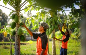 Warga Binaan Lapas Lombok Barat Disiapkan jadi Petani Multitalenta
