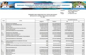 Ringkasan Laporan Realisasi Anggaran Ta. 2024