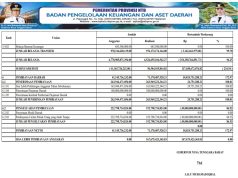 Ringkasan Laporan Realisasi Anggaran Ta. 2024