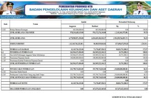 Ringkasan Laporan Realisasi Anggaran Ta. 2024