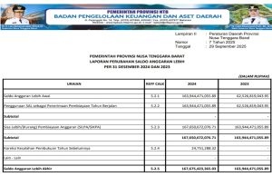Laporan Perubahan Saldo Anggaran Lebih Per 31 Desember 2024 Dan 2023