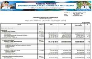 Laporan Operasional Untuk Tahun Yang Berakhir Sampai Dengan 31 Desember 2024 Dan 2023