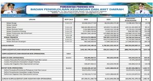 Laporan Operasional Untuk Tahun Yang Berakhir Sampai Dengan 31 Desember 2024 Dan 2023