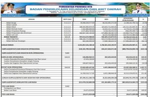 Laporan Operasional Untuk Tahun Yang Berakhir Sampai Dengan 31 Desember 2024 Dan 2023