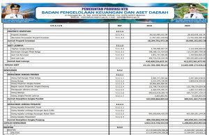 NERACA Per 31 Desember 2024 dan 2023