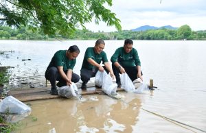 Bank NTB Syariah Lestarikan Lingkungan dengan Menebar Bibit Ikan dan Penanaman Pohon di Bendungan Penyaring Sumbawa