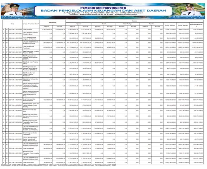 
					Ringkasan Apbd Yang Diklasifikasikan Menurut Urusan Pemerintahan Daerah Dan Organisasi Tahun Anggaran 2025
