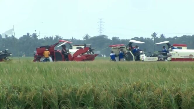 
					Petani panen padi menggunakan alat modern dan canggih (Foto : Dok/Tangkapan Layar) 
