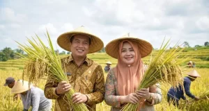 Produksi Padi Naik 16,85 Persen, NTB Makin Optimistis Perkuat Swasembada Pangan