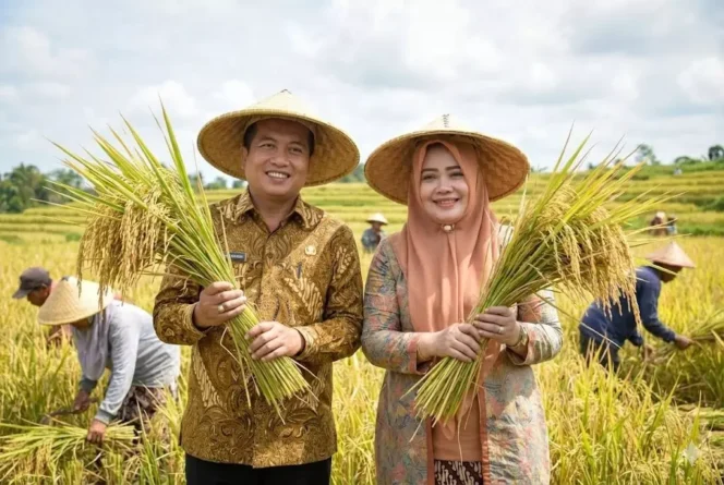 
					Produksi Padi Naik 16,85 Persen, NTB Makin Optimistis Perkuat Swasembada Pangan