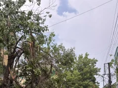 Siaga Cuaca Ekstrem, Pemprov NTB Aktifkan Komando Lintas OPD