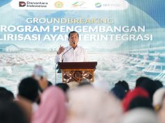 NTB Perkuat Ketahanan Pangan Daerah dengan Bangun Industri Ayam Terintegrasi