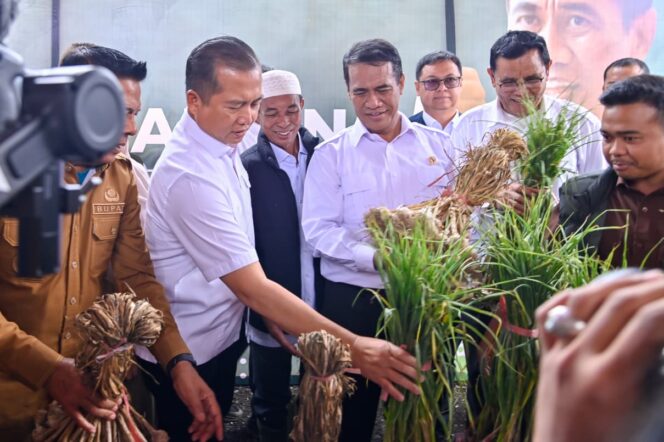 
					Mentan Tetapkan NTB Jadi Pusat Produksi Bawang Putih dan Jagung
