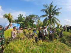 Satu Tahun Iqbal-Dinda Pacu Ketahanan Pangan, NTP Petani Meningkat