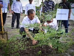 Jadi Sumber Kehidupan, Gubernur NTB Minta Kelestarian Hutan Tetap Terjaga