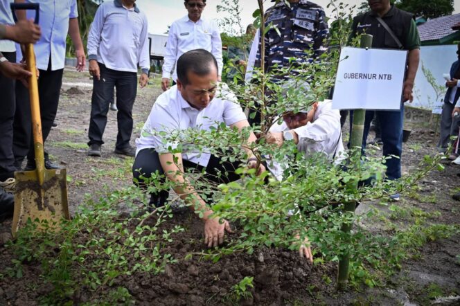 
					Jadi Sumber Kehidupan, Gubernur NTB Minta Kelestarian Hutan Tetap Terjaga